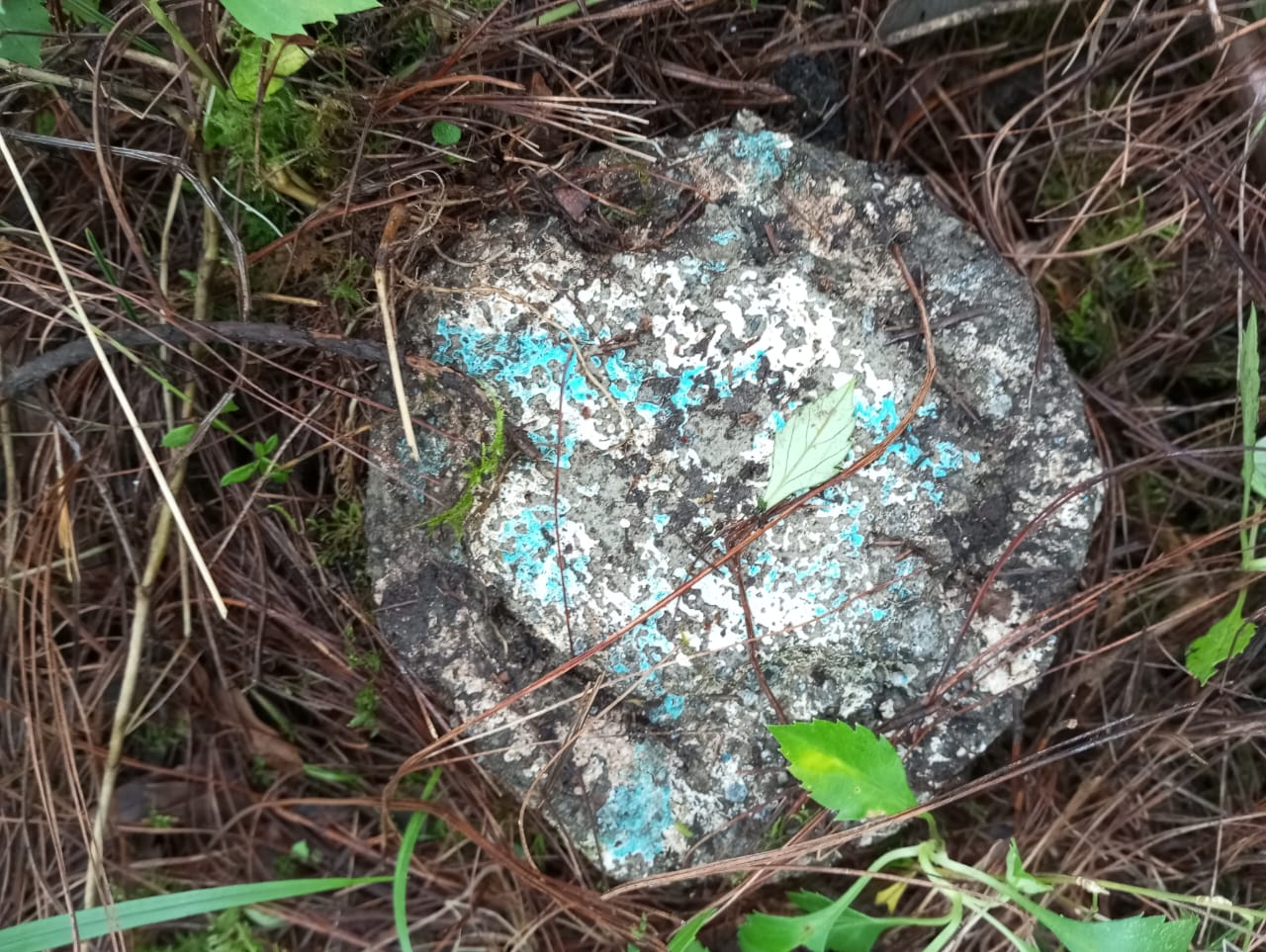 Mojonera de piedra marcada en azul